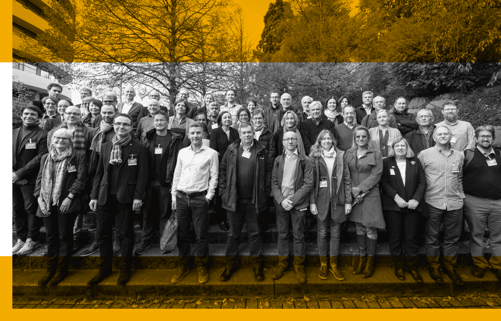 EMBO Members
