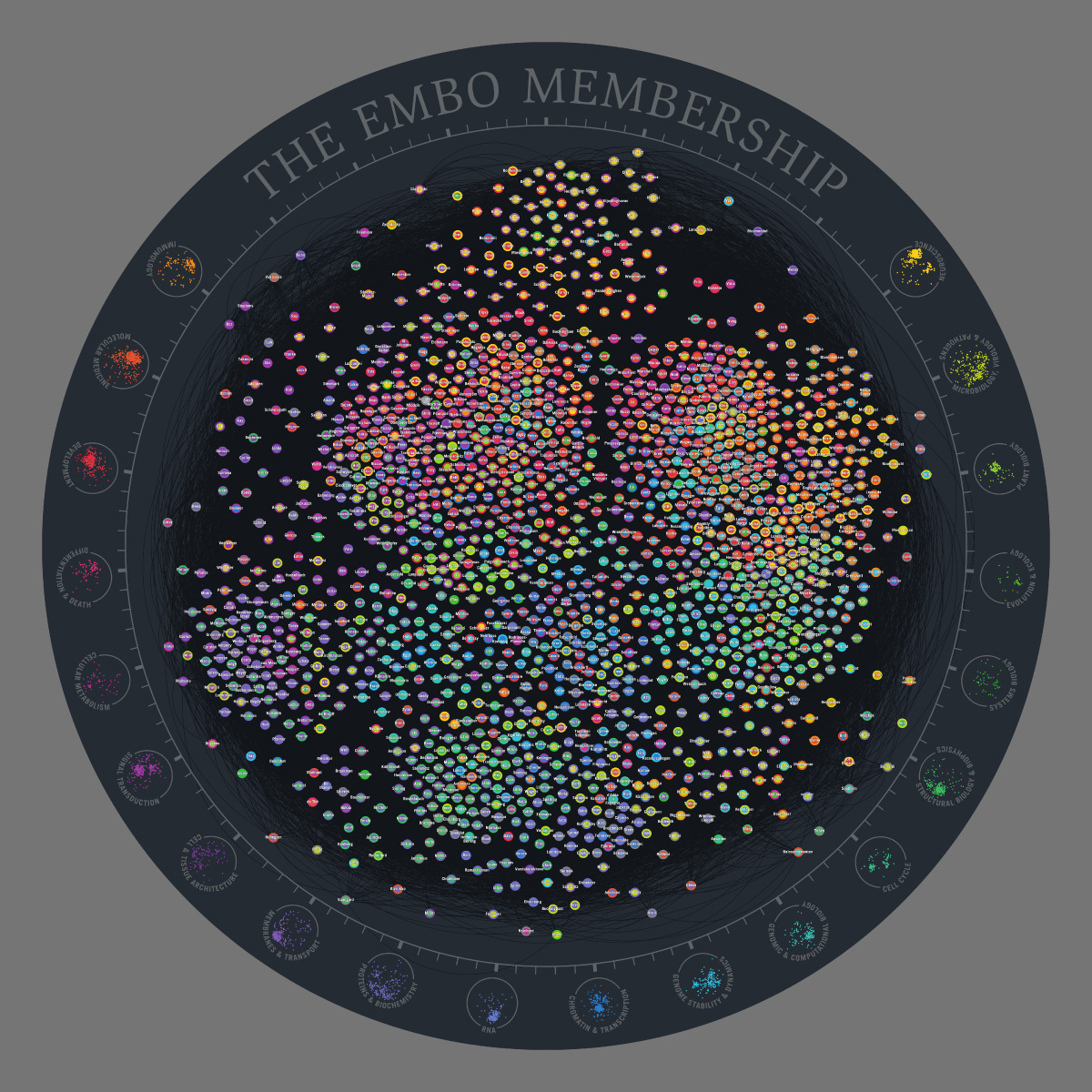 EMBO Members Network - carpet