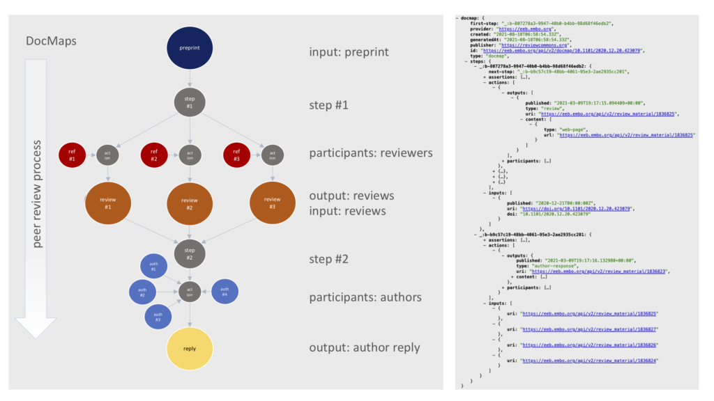 A description of a DocMap from Early Evidence Base