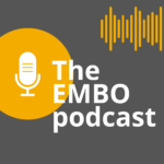 The EMBO podcast The EMBO podcast